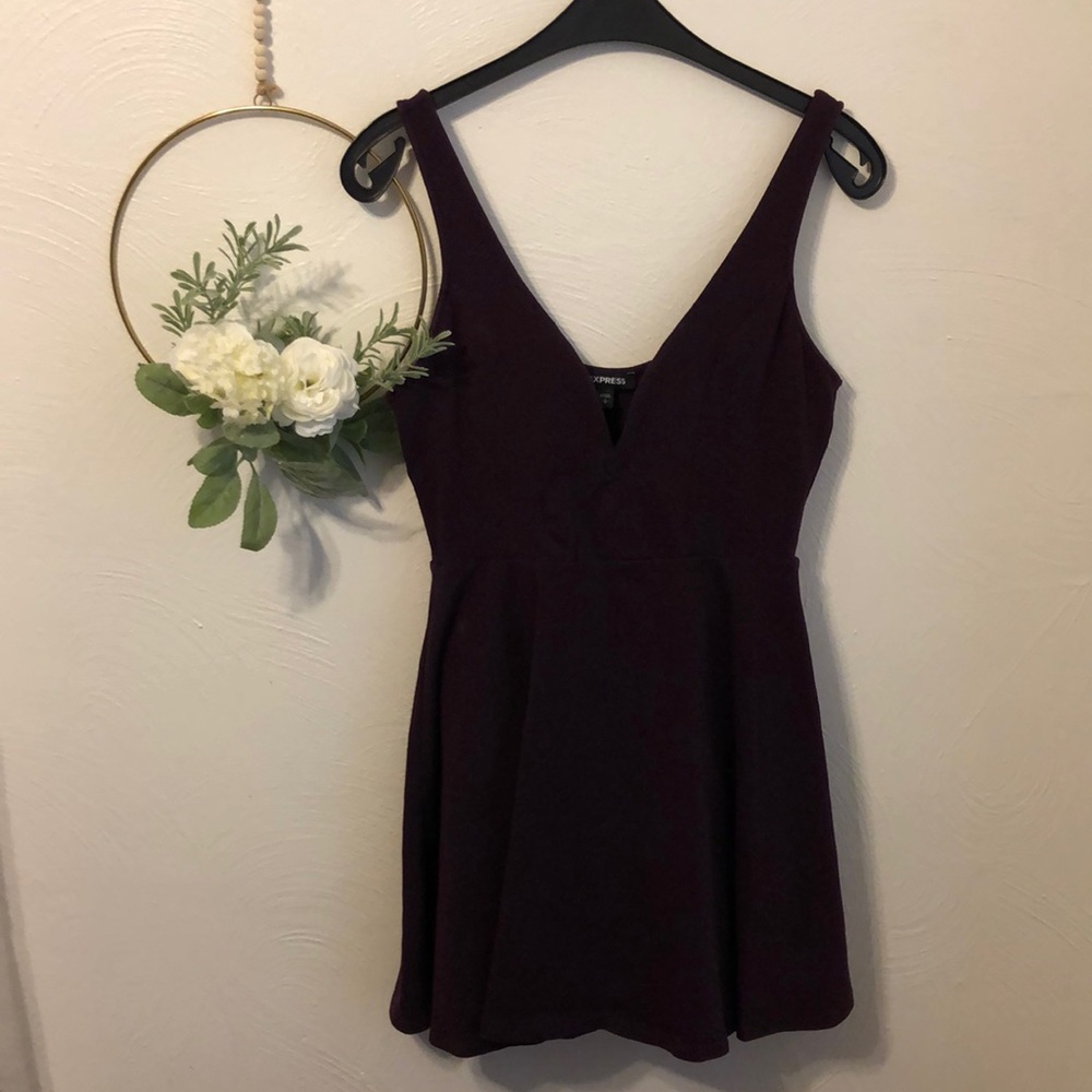 Express Plunge Mini Dress